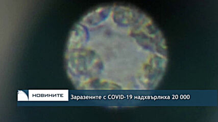 Заразените с COVID-19 надхвърлиха 20 000