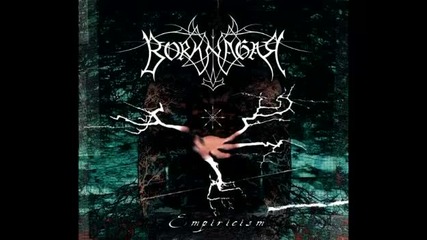 Borknagar - The View Of Everlast