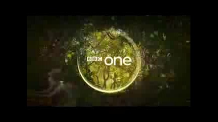 Bbc One Magical Forest Intro