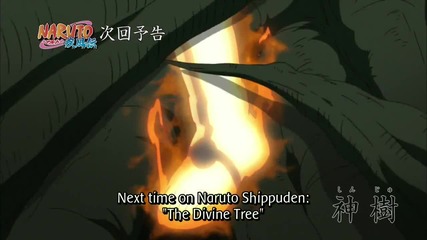 Naruto Shippuuden - 381