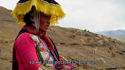 Живот извън баланс - Перу