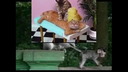 sme6ni snimki na jivotni