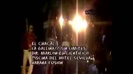 Cubaton - El Chacal - La Gallinita de Los Huevos De $ (en Vivo - Official Video) 