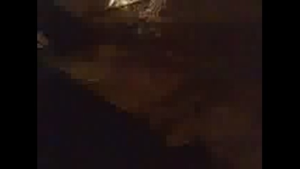 Видео006.3gp