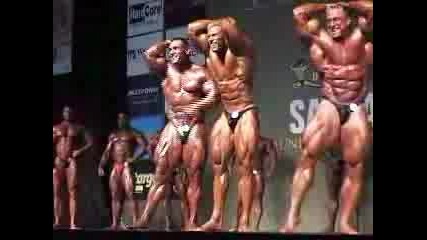 Santa Susana 2006