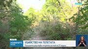 Мъж почина след жесток побой в Пловдив