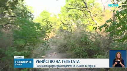 Мъж почина след жесток побой в Пловдив