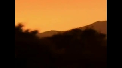 Dj Frankie Wilde- Reflect_2