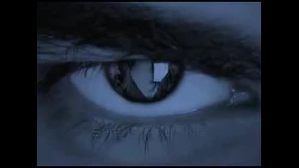 Hush, hush - book trailer fanmade 