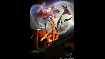 Кючека Ритъма На Душата