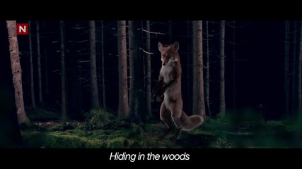 Ylvis - The Fox [official music video Hd]