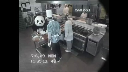 Never Say No To Panda - Kitchen 
