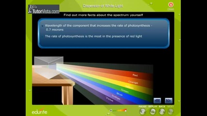 Dispersion Of White Light