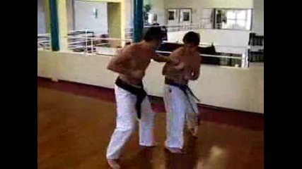Goju Ryu `` karate do`` - Gustavo Munoz