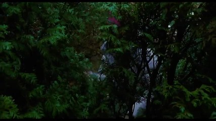 Don't Be Afraid Of The Dark - It is not safe for you back here