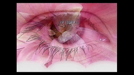 Eyes Without A Face - Billy Idol