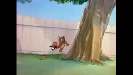 Tom and Jerry - Кълвача на Джери 