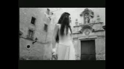 Amy Lee - Fan Video