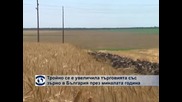 Тройно се е увеличила търговията със зърно в България