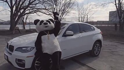 Gonzalez & Liunika - Panda ( Panda Video )