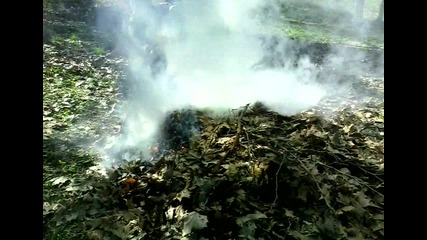 Пролетно опушване против комари в парка на село Рогозен - ден 1