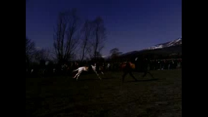 kone aaaaa v selo anton