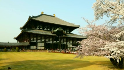 Япония 4 Храмът Тодайджи в Нара (''Без багаж'', еп.196).