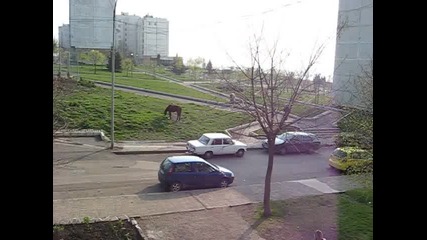 Коне В Акция