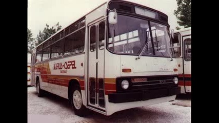 Ikarus All Type