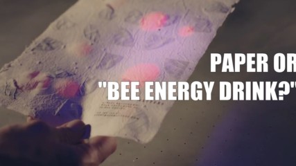 Bee Innovations: Bee-Saving Paper