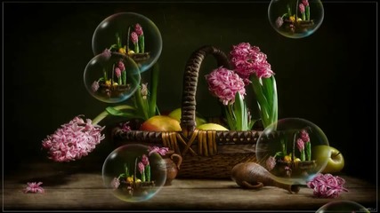 ✿ Аромат на пролет ... зюмбюли! ... ... ( Nikos Ignatiadis music) ... ...✿