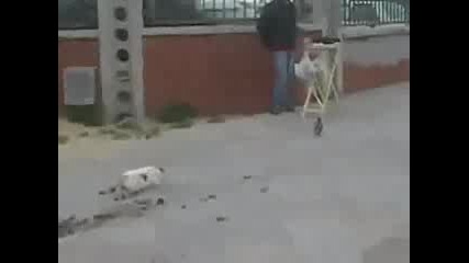 На лов, ако не стане - сън...