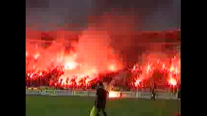Фeнове На Zvezda