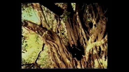 Vaya Con Dios - What If (roots And Wings1995) 