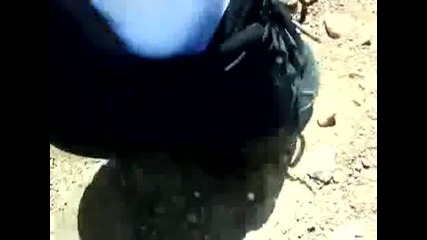 този кибрит никога не угасва