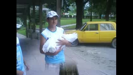 nazar 