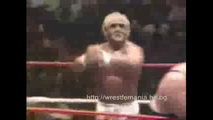 Hulk Hogan - The Titan