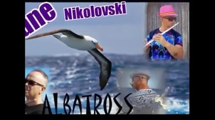 Cane Nikolovski /flute/ - Albatross