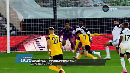 Брайтън & Хоув Албиън - Уулвърхямптън Уондърърс на 2 януари, събота от 19.30 ч. по DIEMA SPORT 2