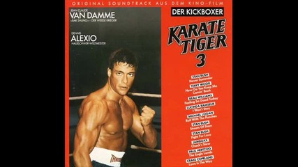 kickboxer traning