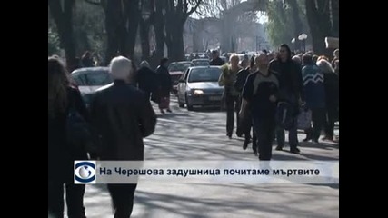 Черешова задушница