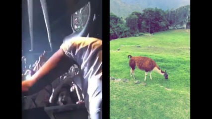 Клипчета на Diplo