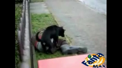 Внимавай Къде Заспиваш Защото ...!