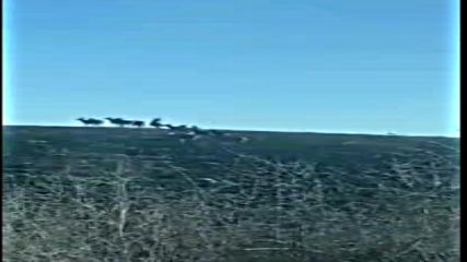 "Моята новина": Засилен трафик на елени и сърнички в Разградско!