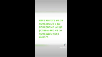 2024-11-13-141643925.mp4
