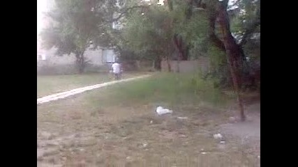 Motora zvqr