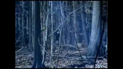 Bullet For My Valentine - Waking