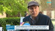 Протест за мобилност на хора с увреждания
