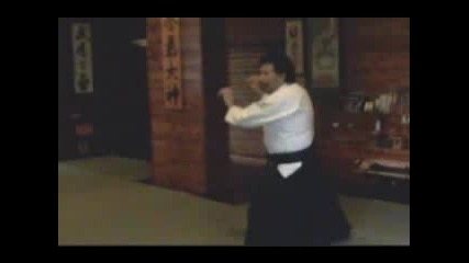 Aikido - Jo Suburi Niju Pon