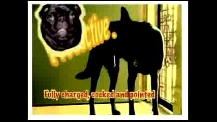 Why - Rubber Traits - Anticon